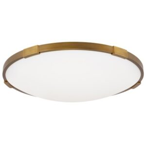 Накладной потолочный светильник JC TL FLMNC18 Techlighting